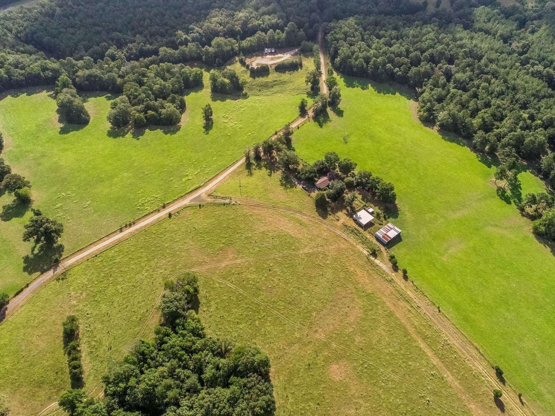 227 acres in Panola County - photo 14