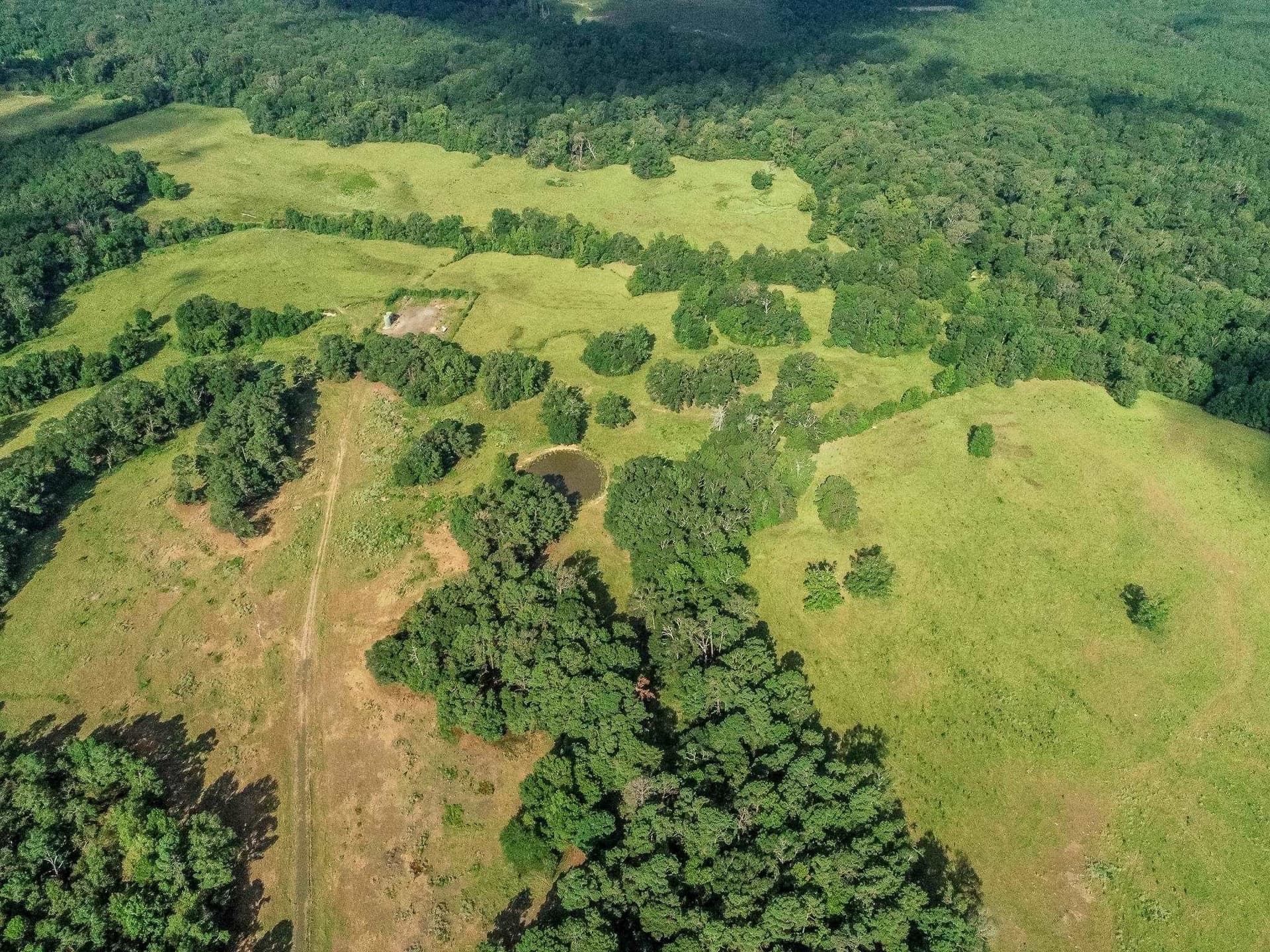 227 acres in Panola County - photo 13