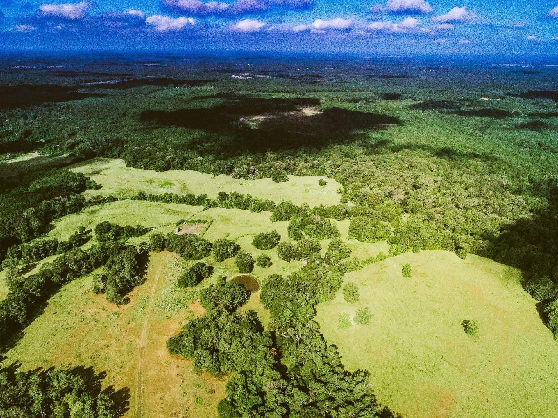 227 acres in Panola County - photo 12