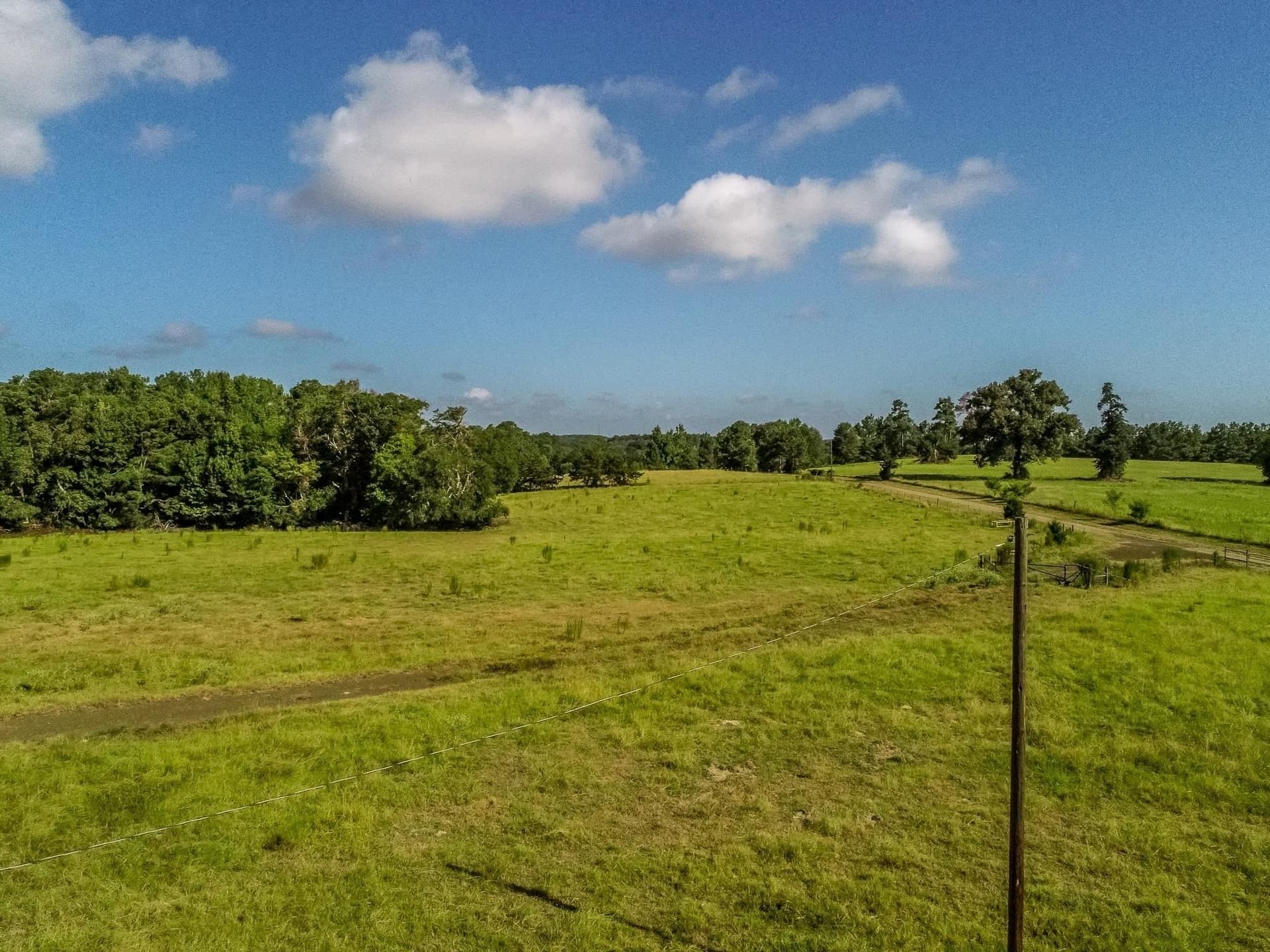 227 acres in Panola County - photo 3