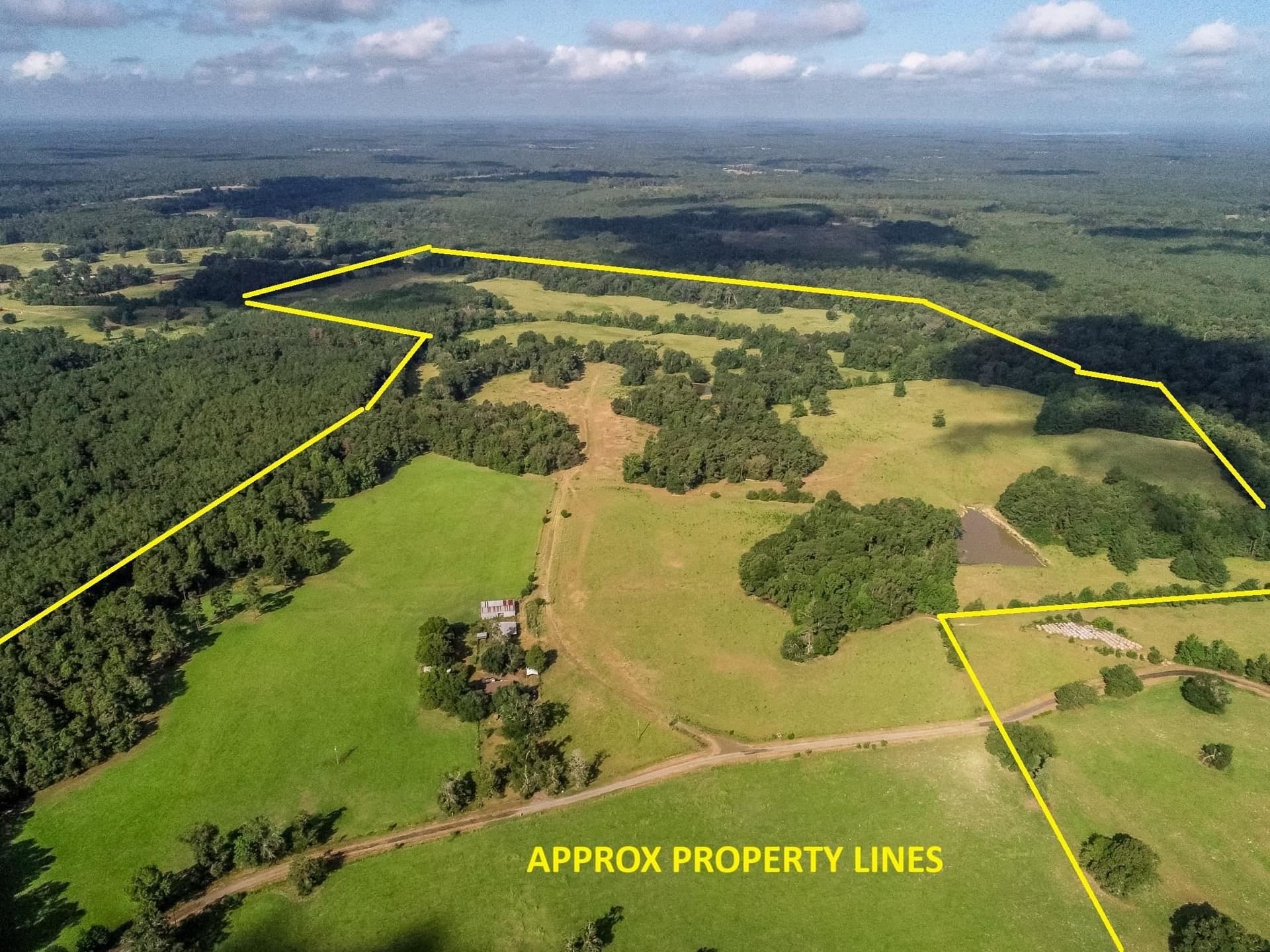 227 acres in Panola County - photo 2