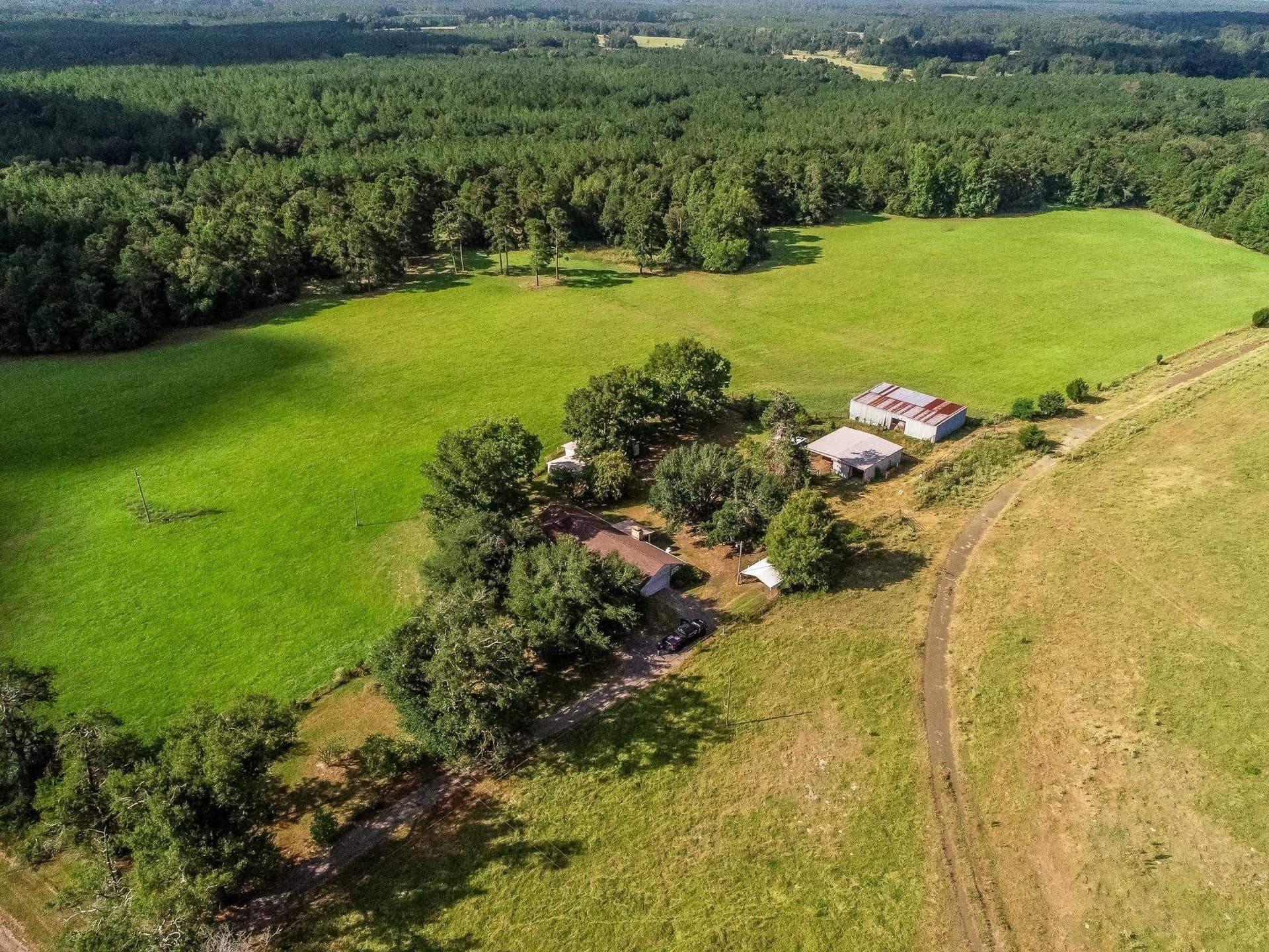 227 acres in Panola County - photo 6
