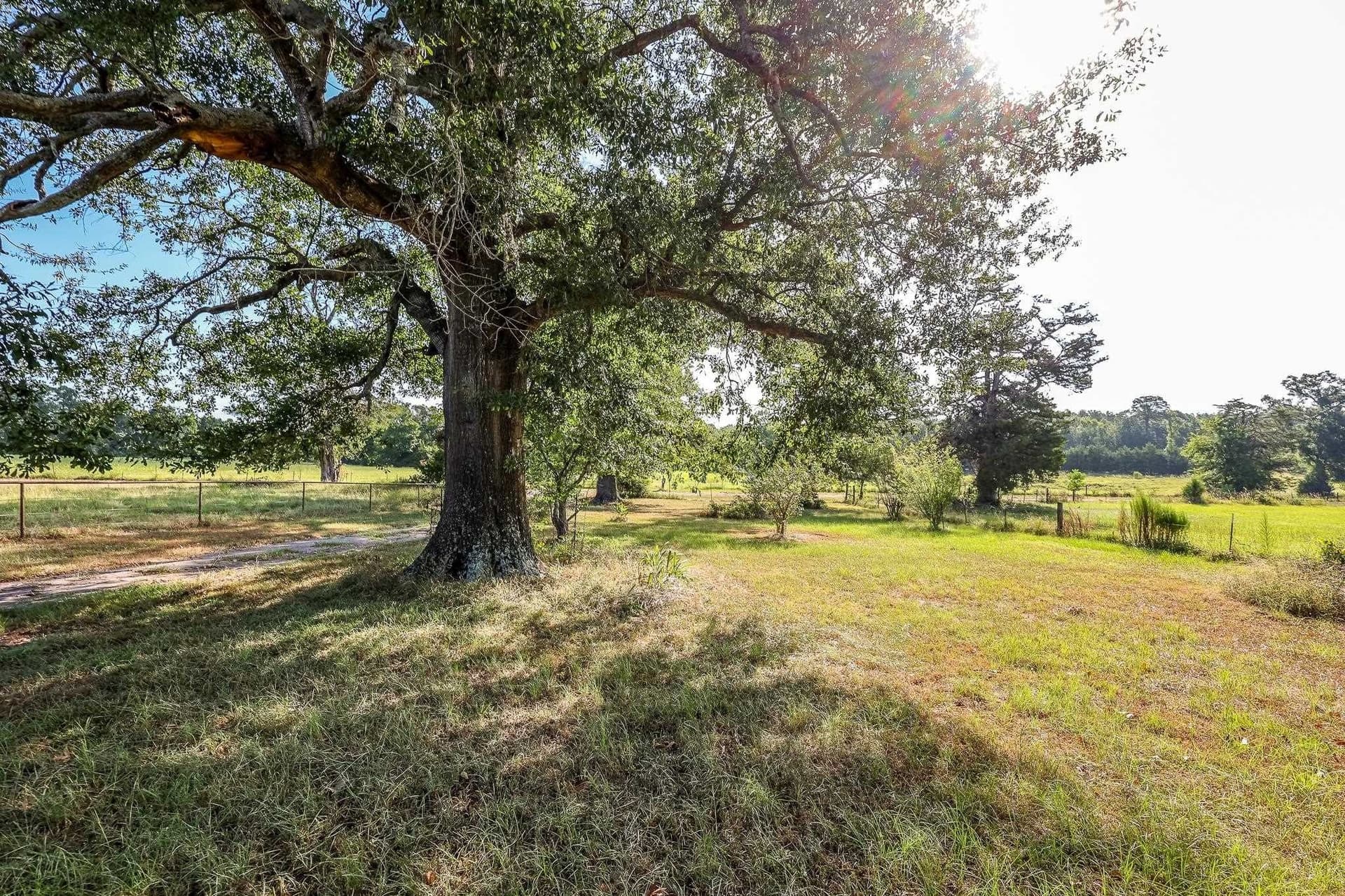 227 acres in Panola County - photo 28
