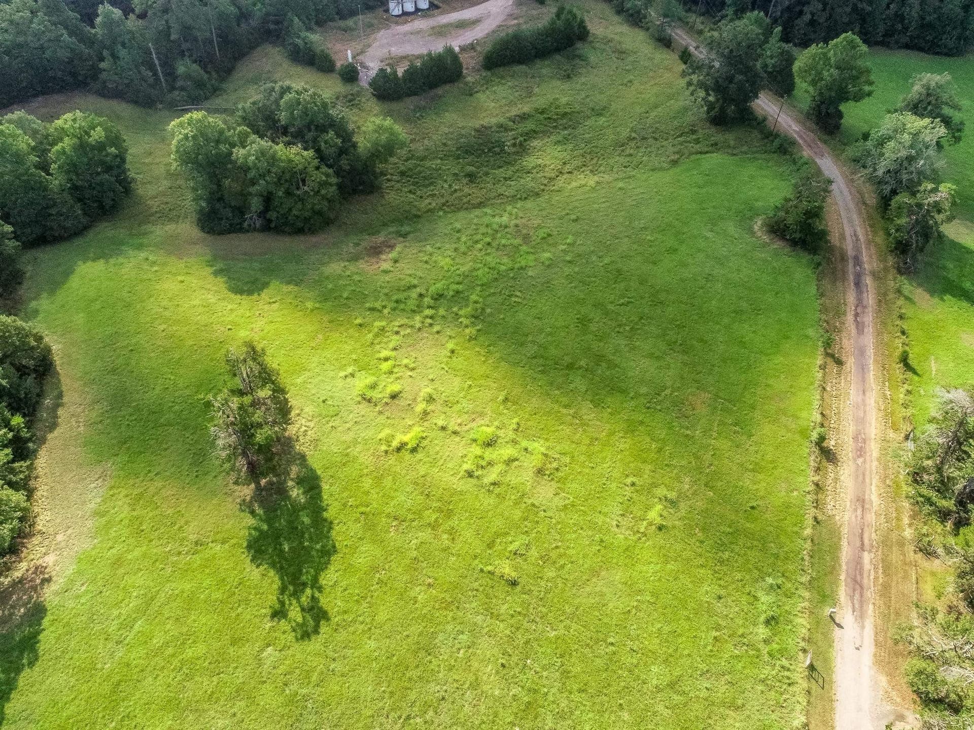 227 acres in Panola County - photo 7