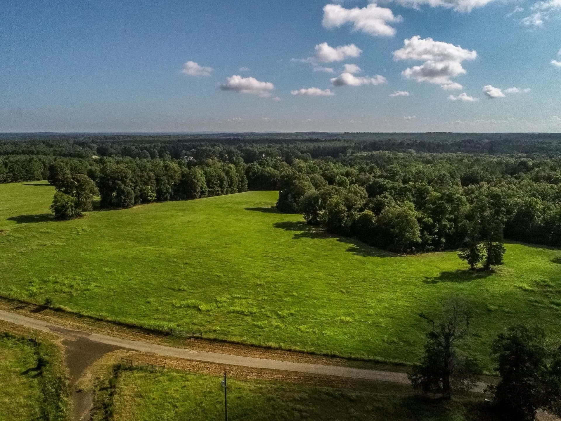 227 acres in Panola County - photo 4