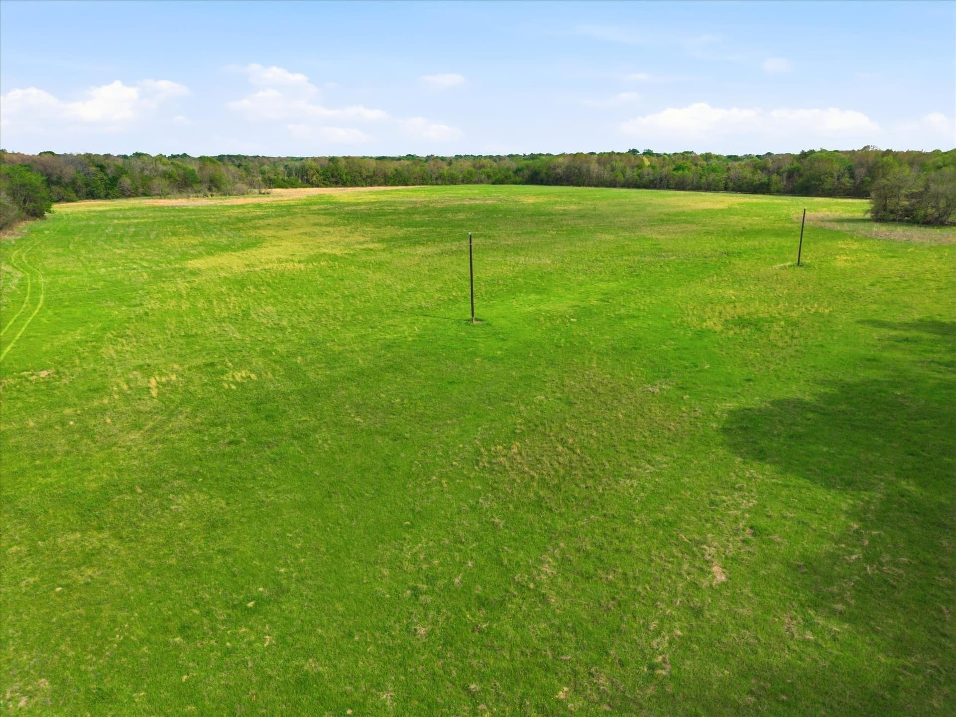 46.5 acres in Hopkins County - photo 9