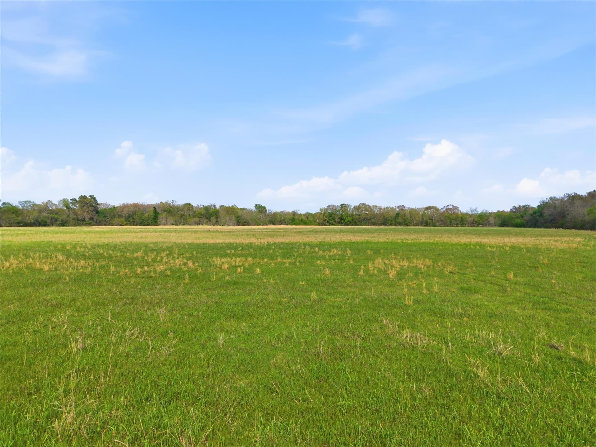46.5 acres in Hopkins County - photo 11