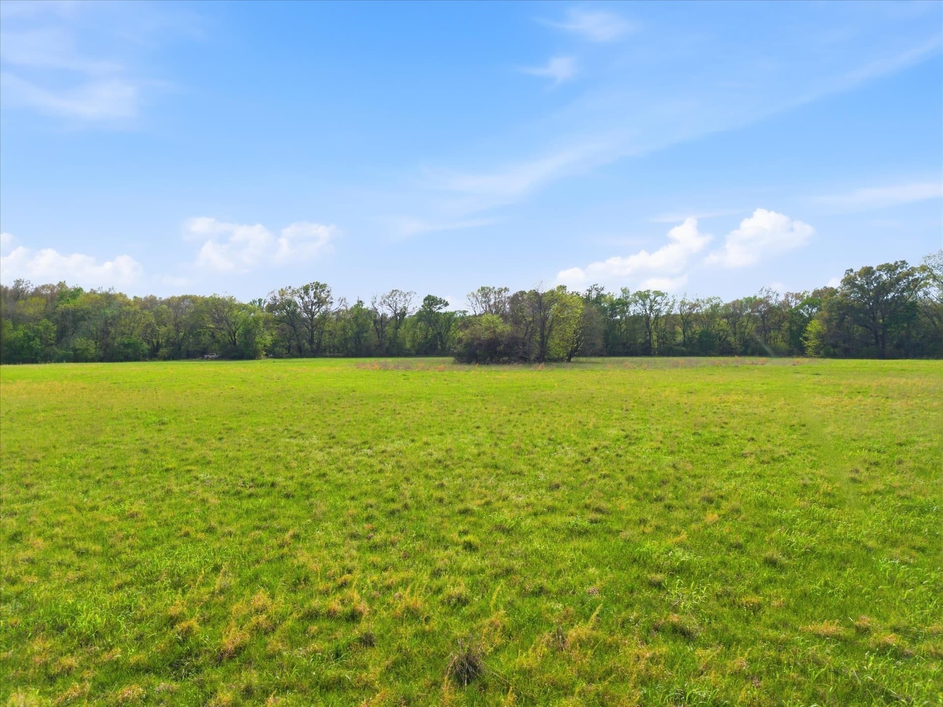 46.5 acres in Hopkins County - photo 13