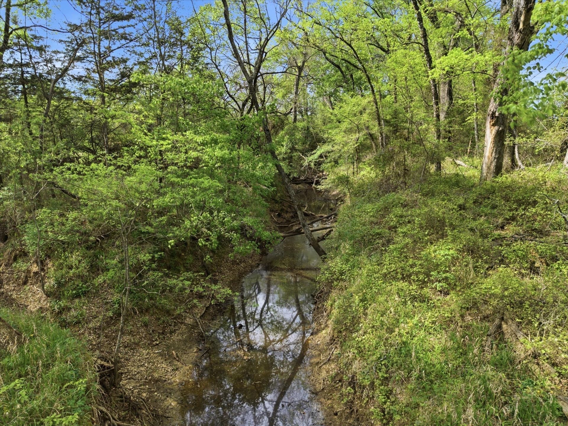 46.5 acres in Hopkins County - photo 18