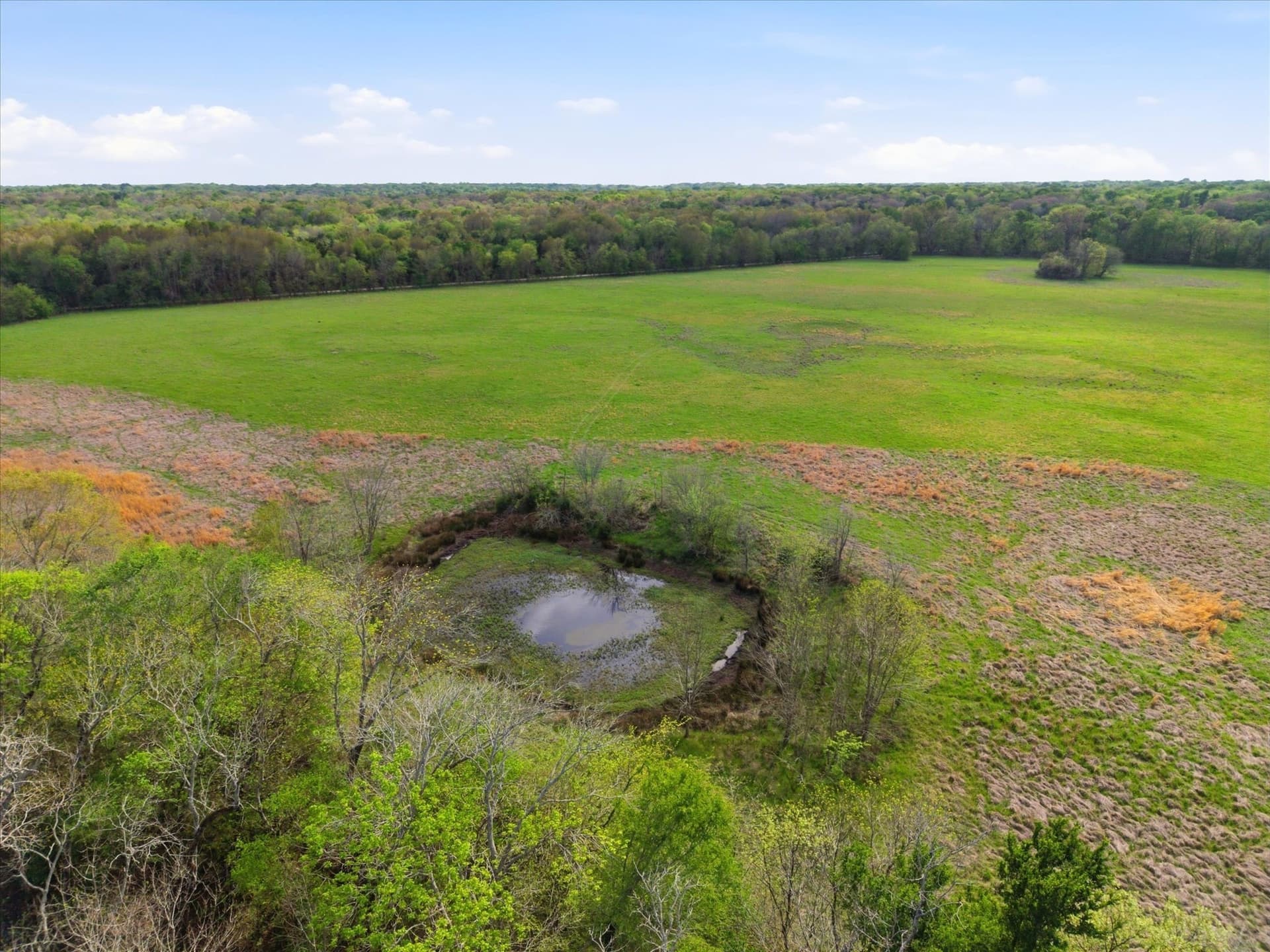 46.5 acres in Hopkins County - photo 6