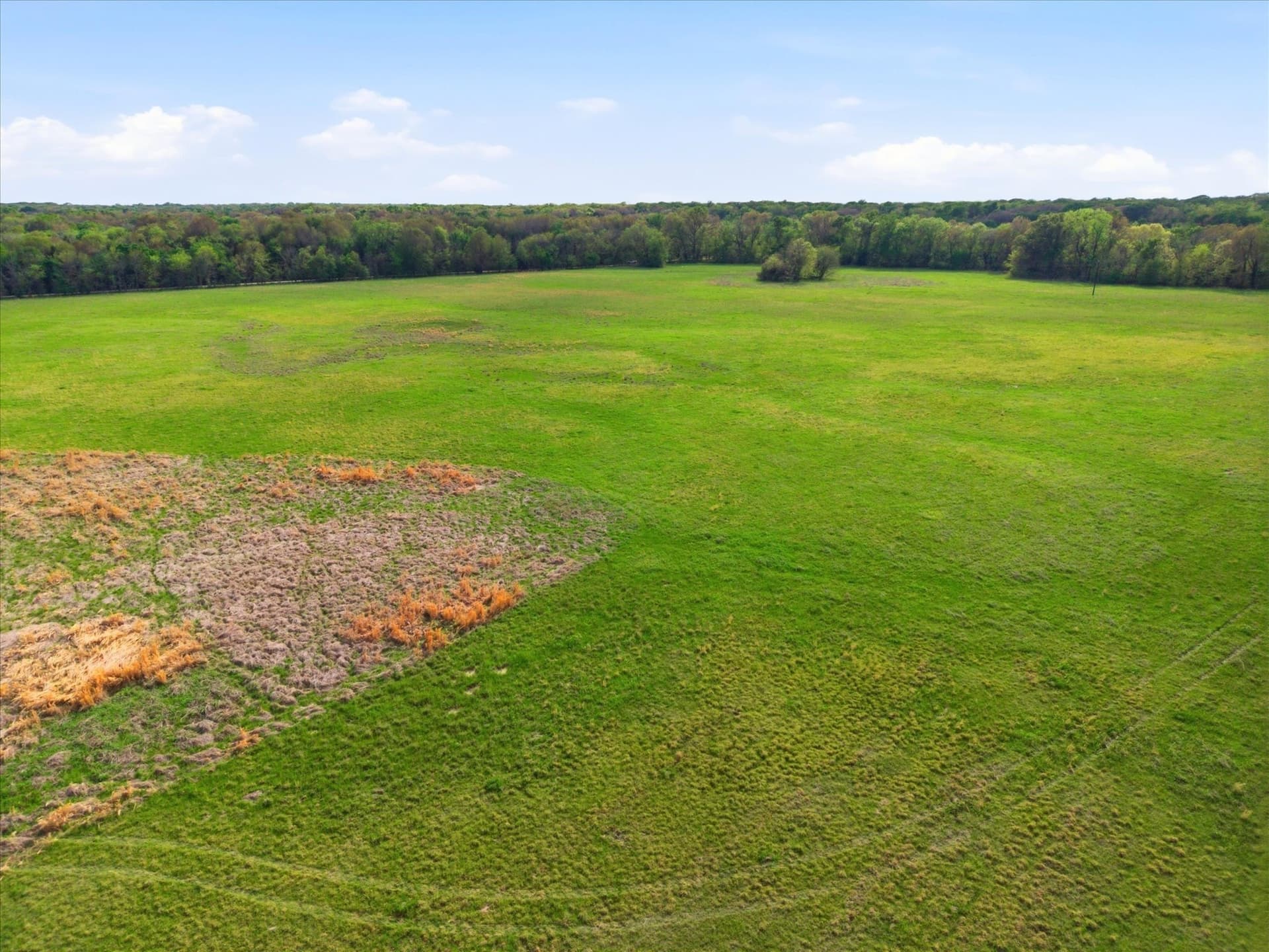 46.5 acres in Hopkins County - photo 8