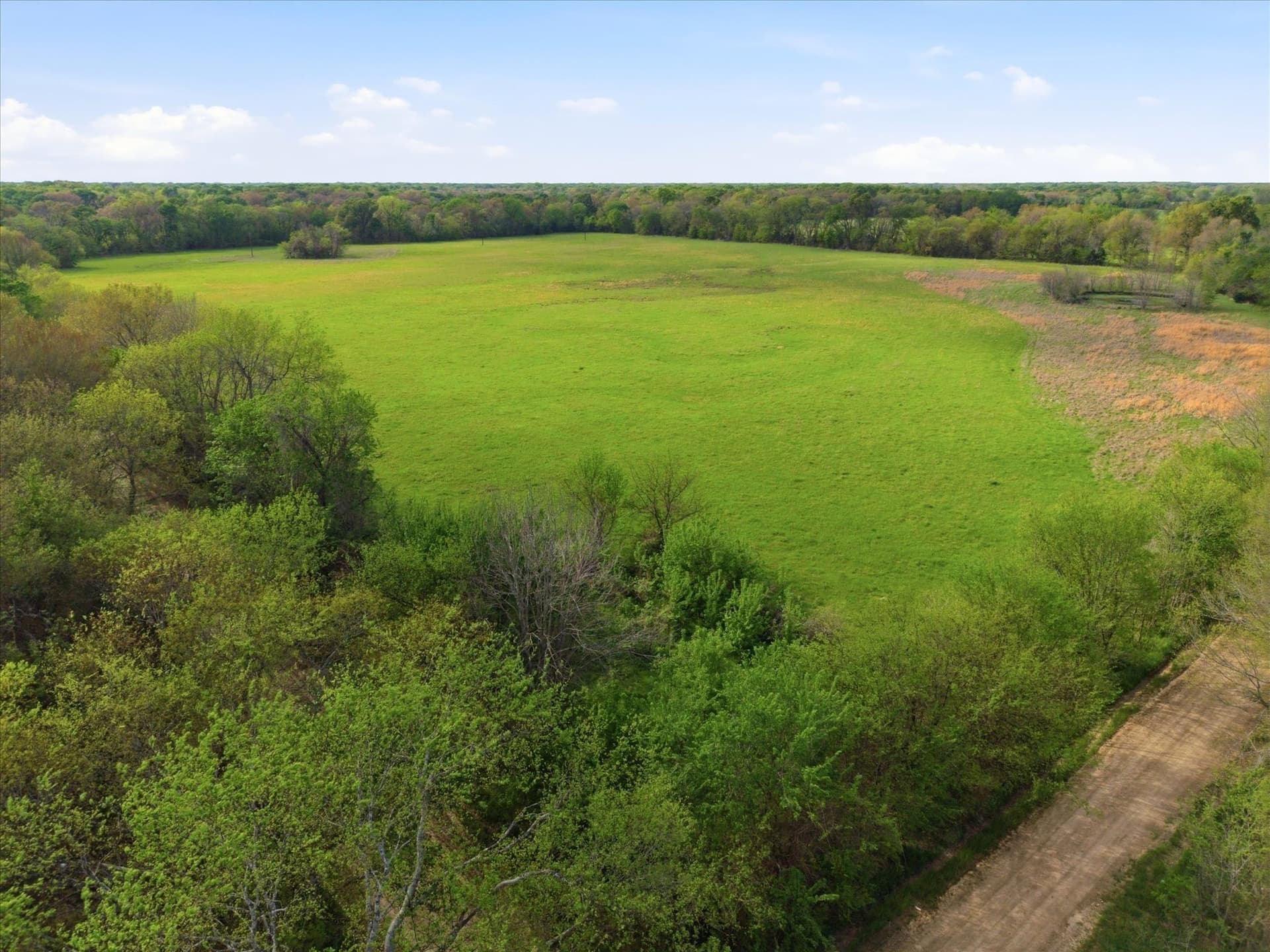 46.5 acres in Hopkins County featured view