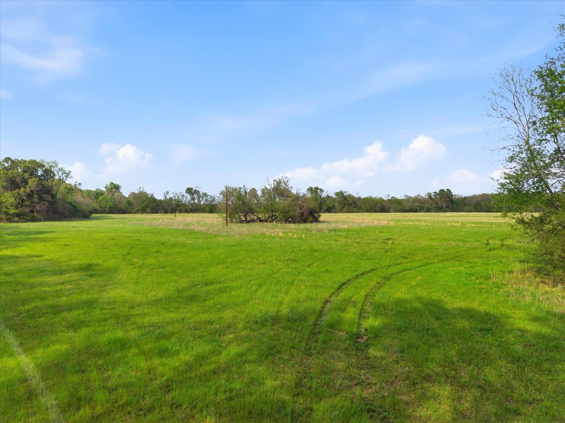 46.5 acres in Hopkins County - photo 10
