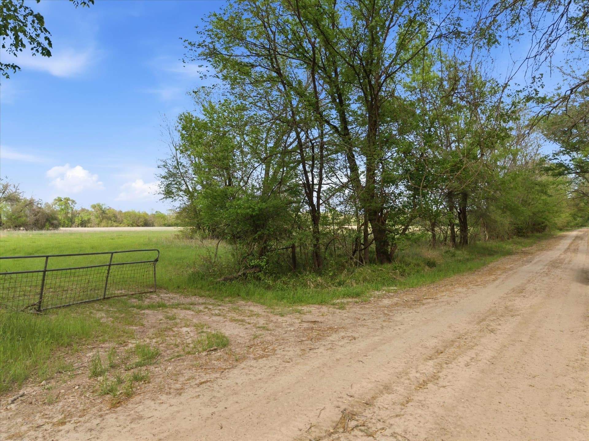 46.5 acres in Hopkins County - photo 15