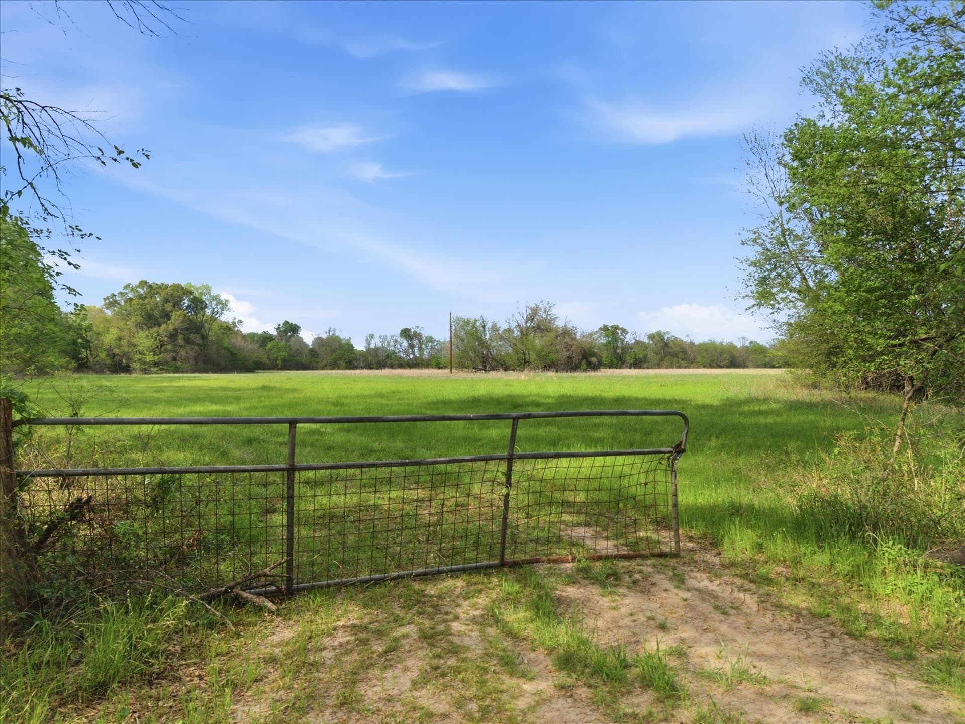 46.5 acres in Hopkins County - photo 14