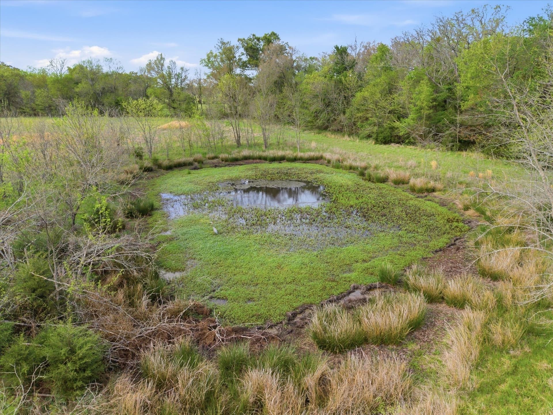 46.5 acres in Hopkins County - photo 7