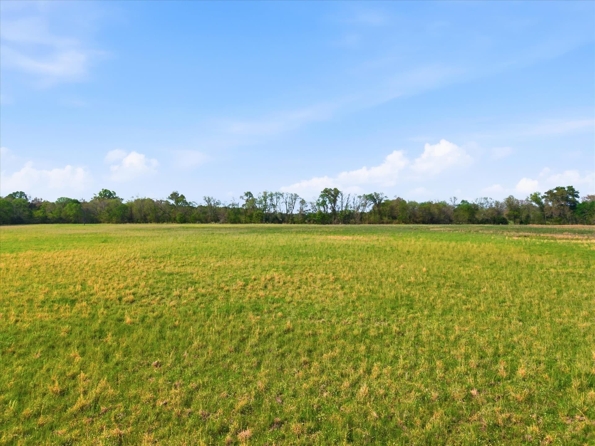 46.5 acres in Hopkins County - photo 12