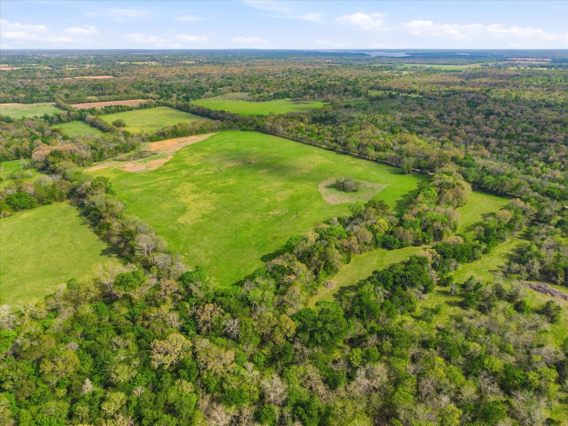 46.5 acres in Hopkins County gallery image 3