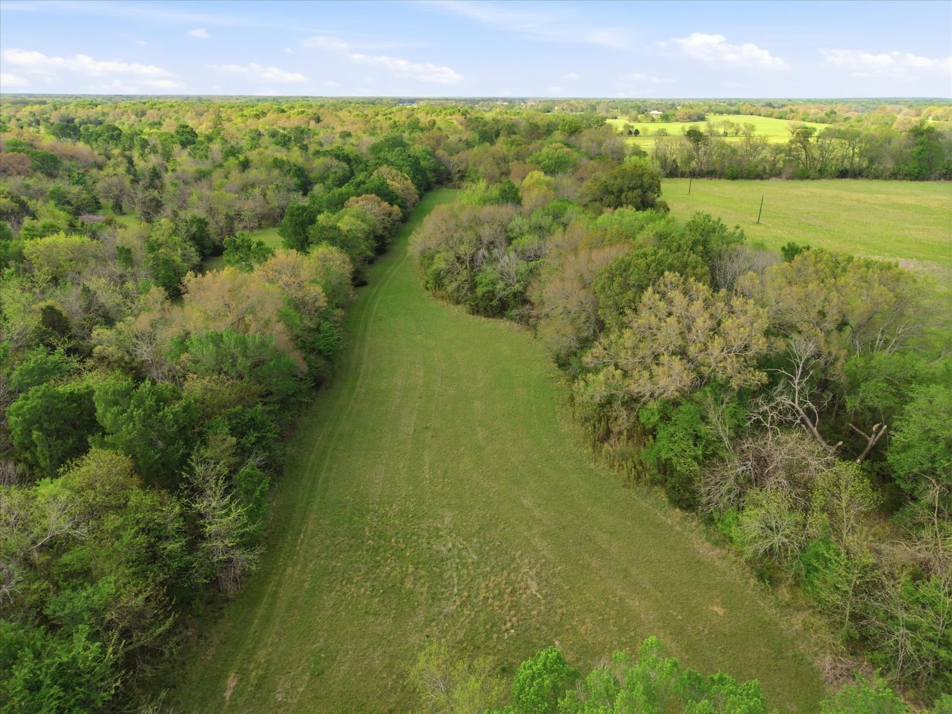 46.5 acres in Hopkins County - photo 17
