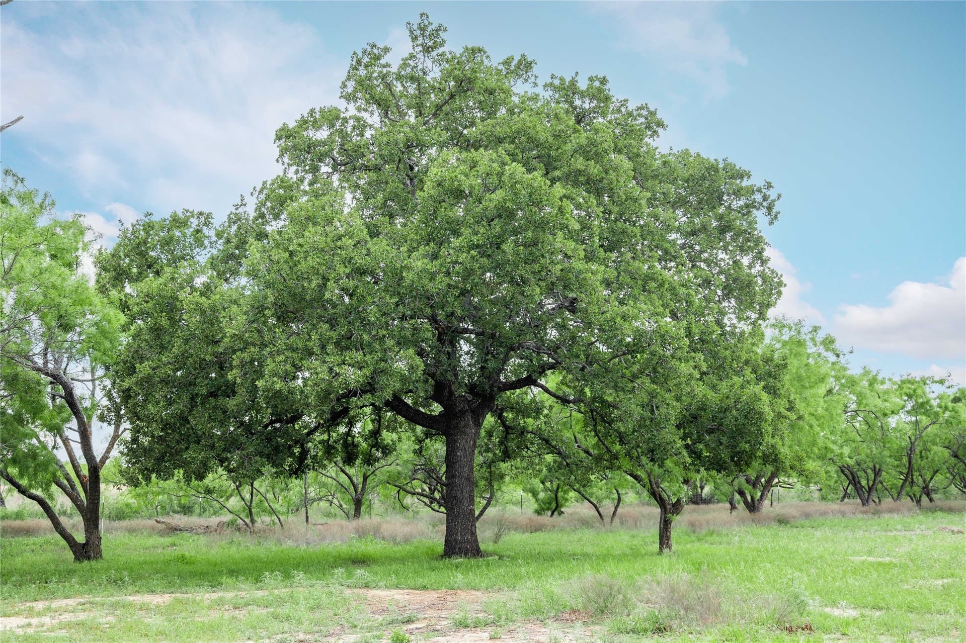 36.82 acres in Brown County - photo 36