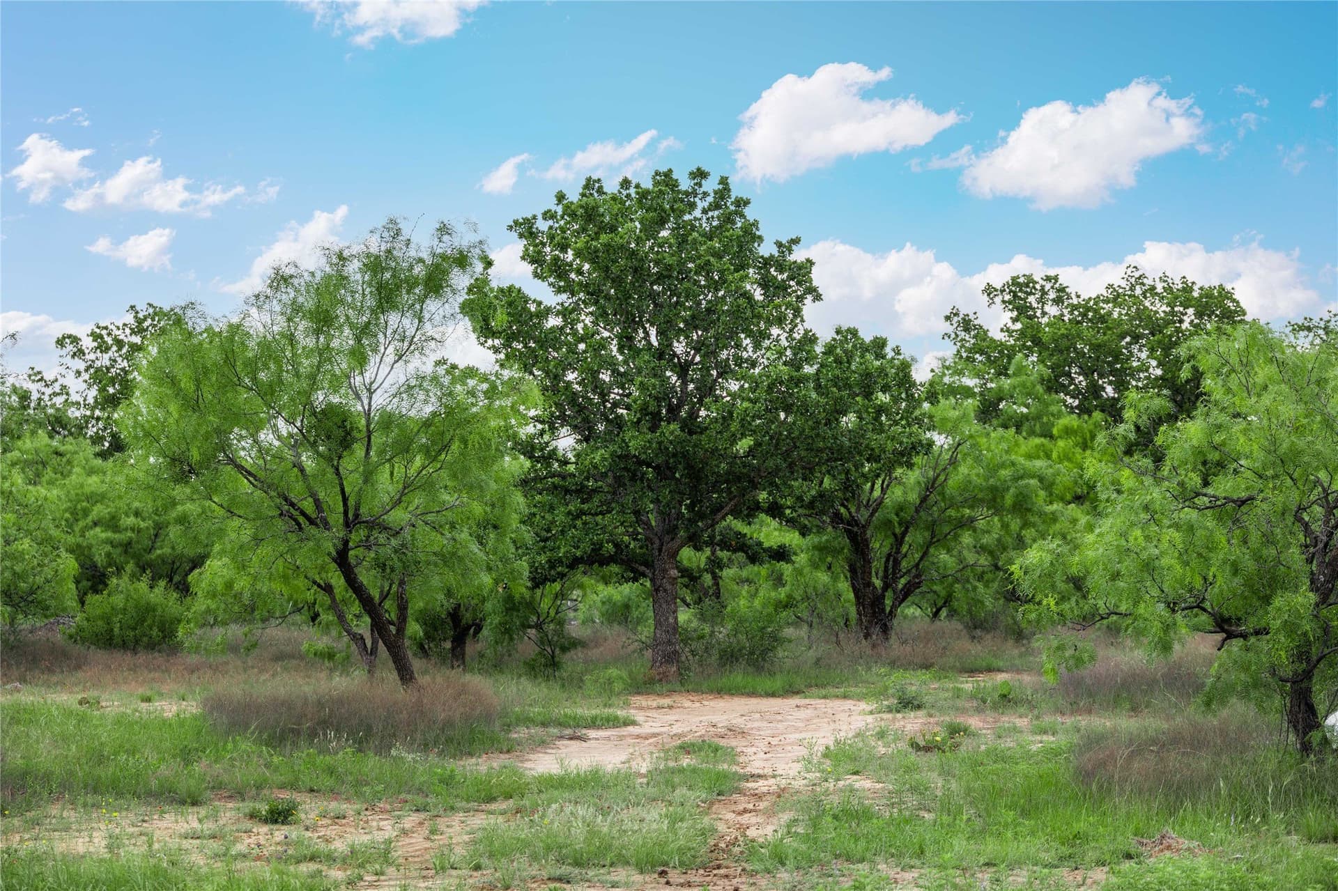 36.82 acres in Brown County - photo 32