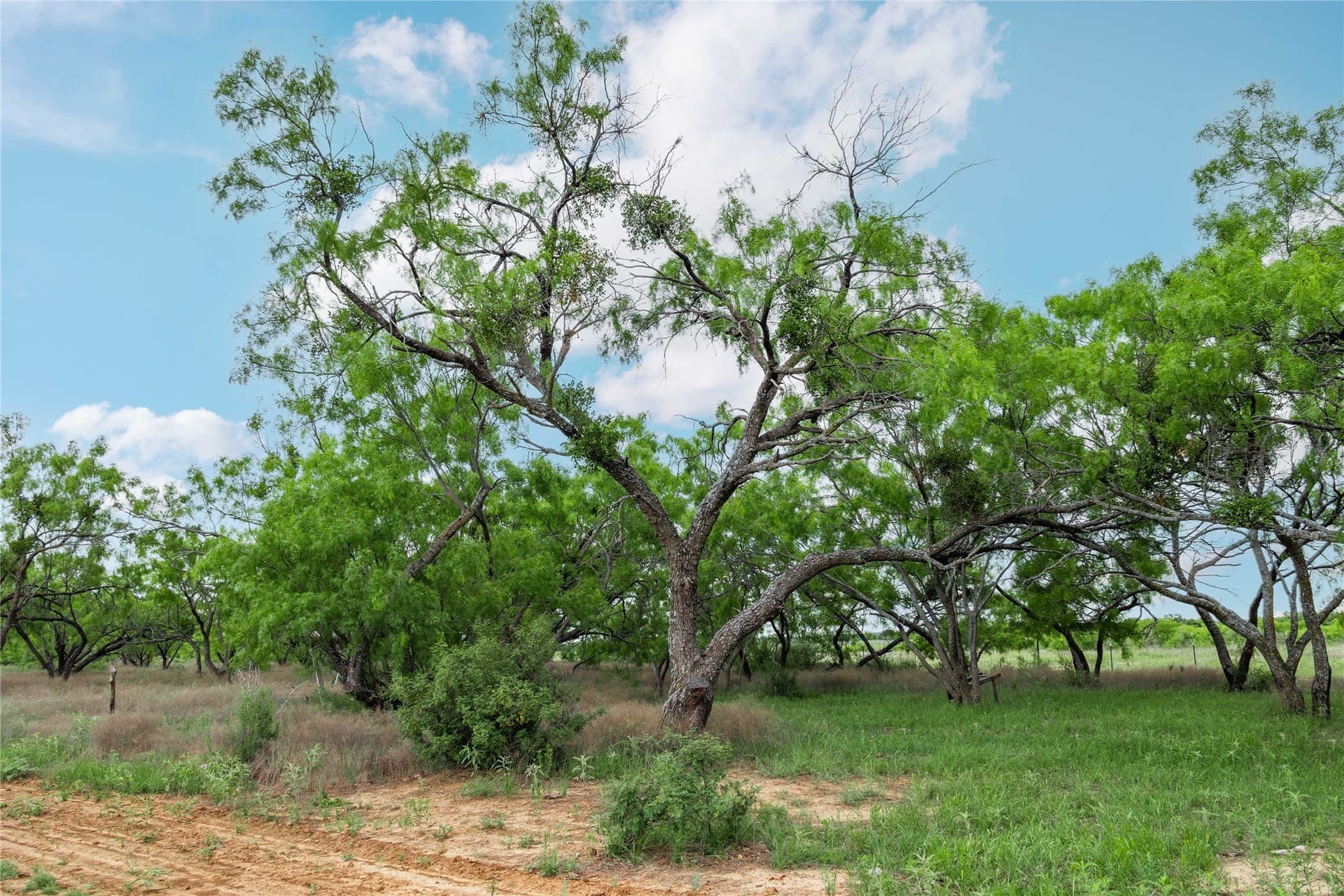 36.82 acres in Brown County - photo 34