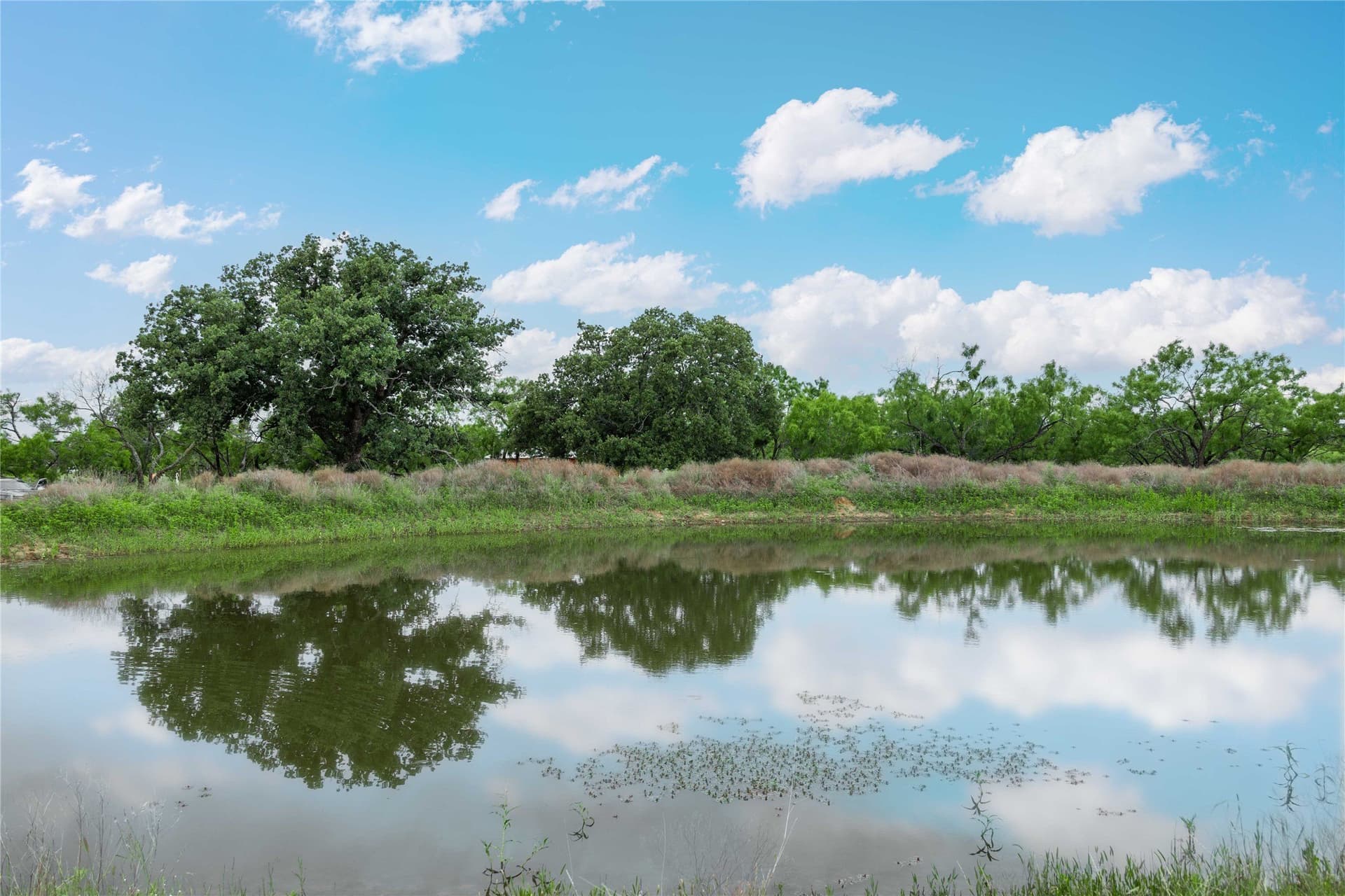36.82 acres in Brown County - photo 31
