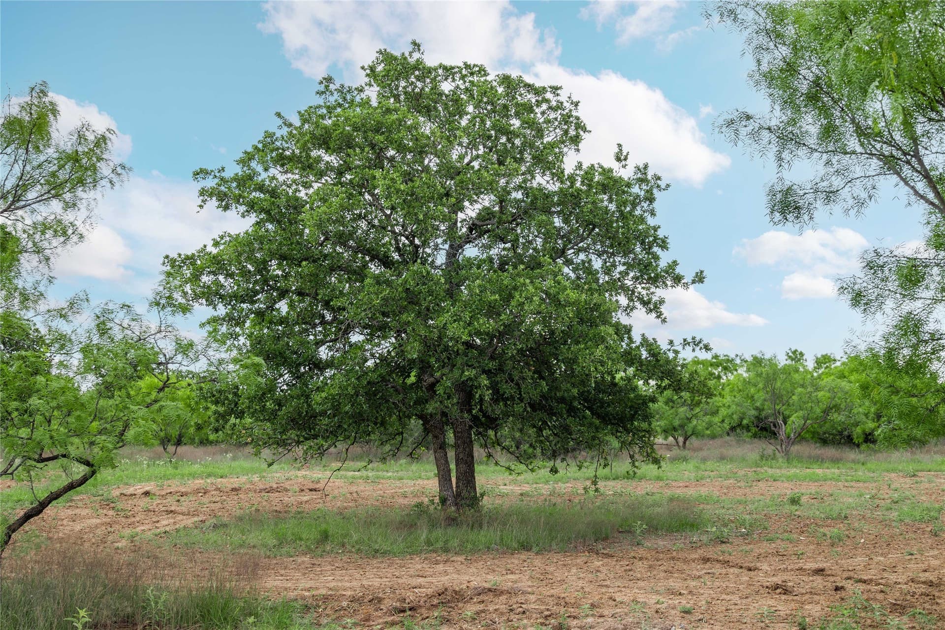 36.82 acres in Brown County - photo 33