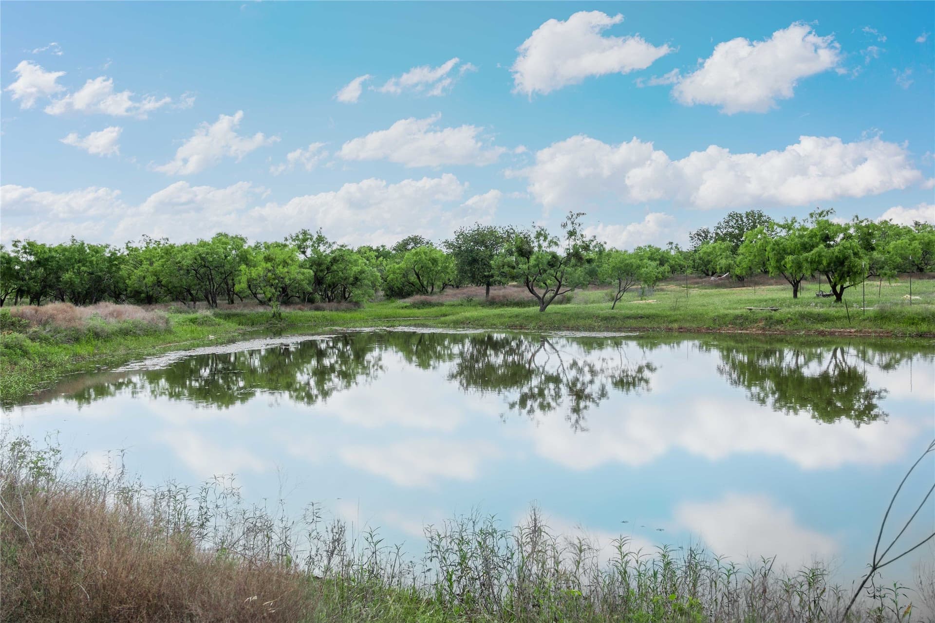 36.82 acres in Brown County - photo 28