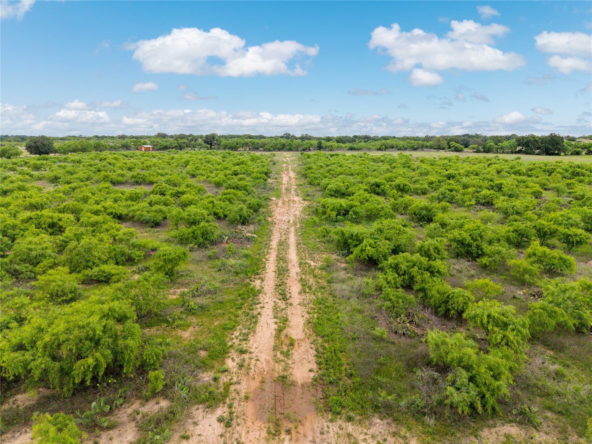 36.82 acres in Brown County - photo 12