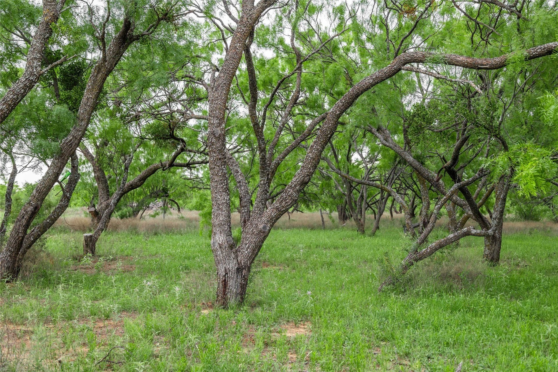 36.82 acres in Brown County - photo 35