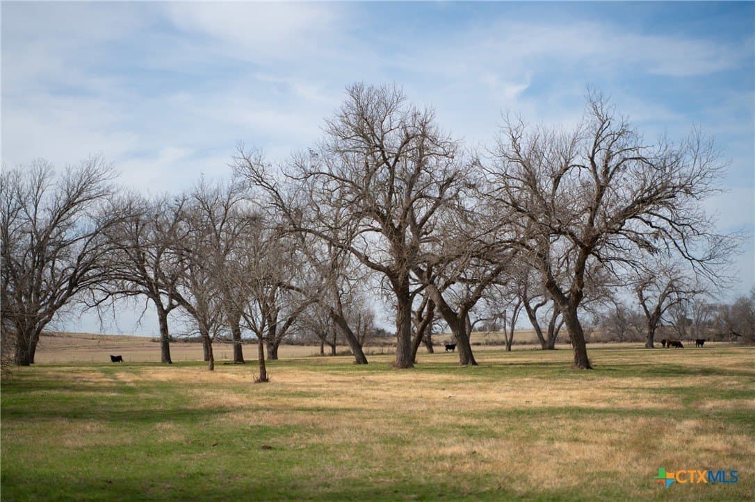 359 acres in Bell County - photo 33