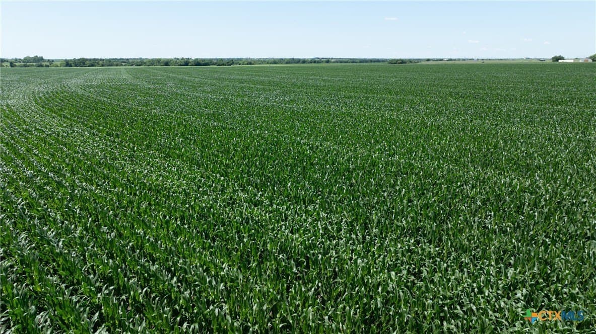 359 acres in Bell County - photo 6