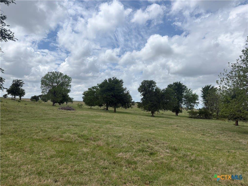 359 acres in Bell County - photo 12