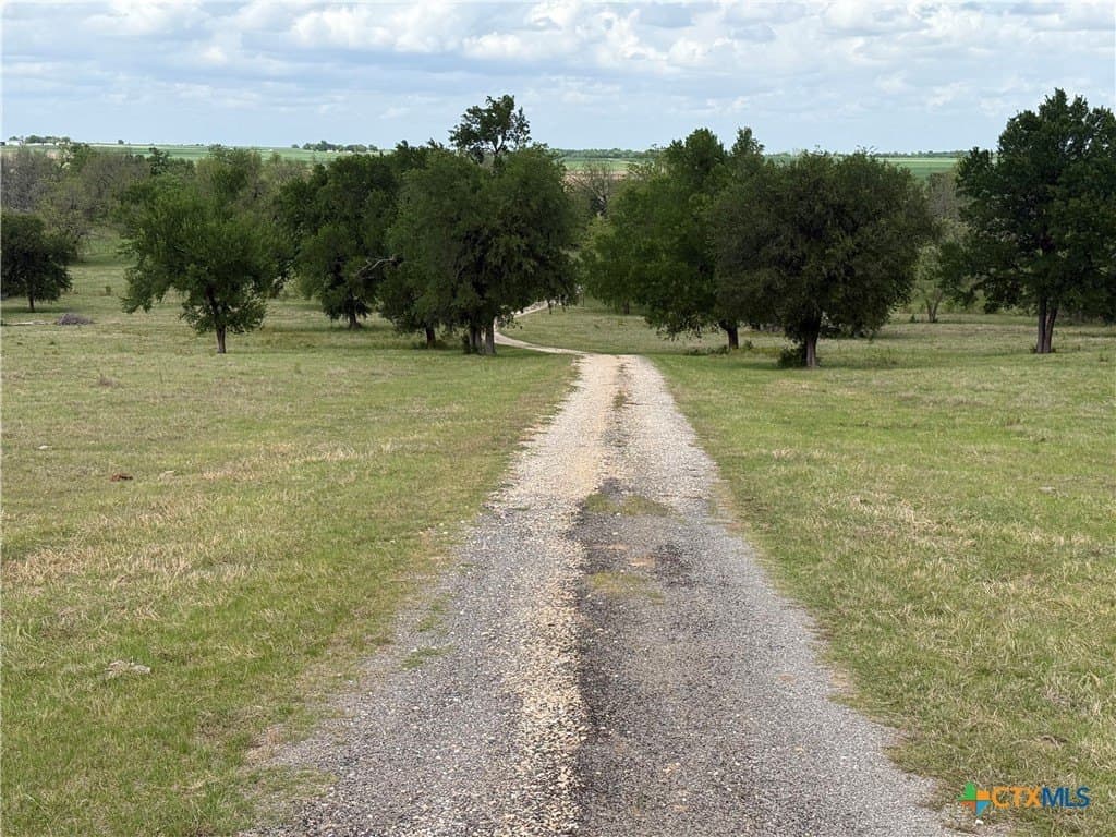 359 acres in Bell County - photo 18