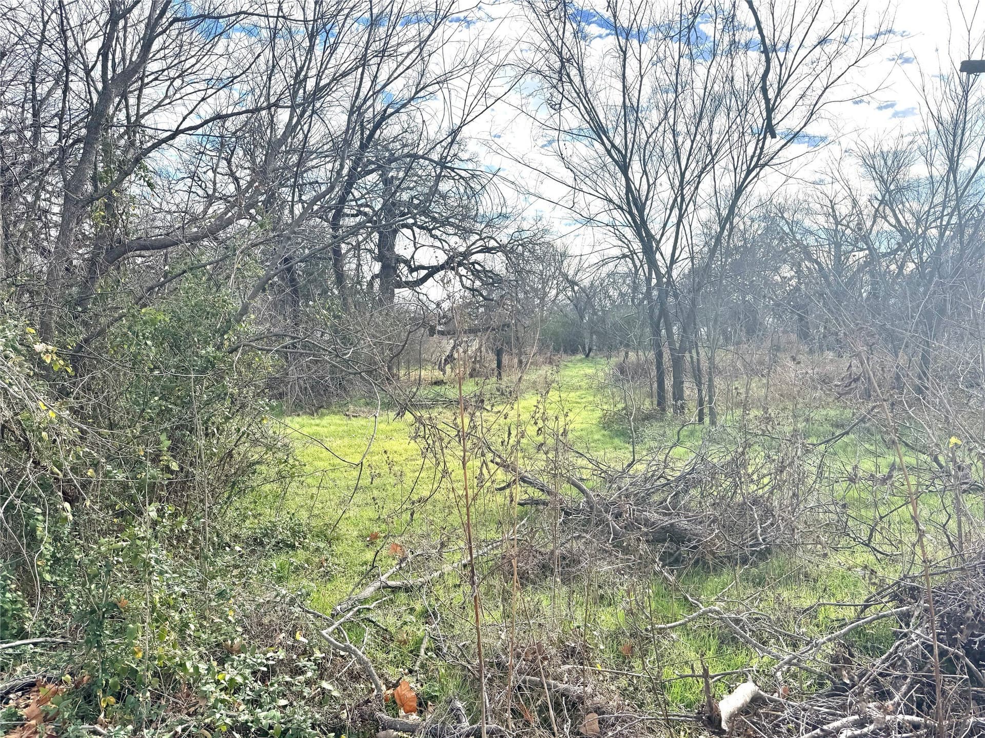 2.85 acres in Wise County - photo 4