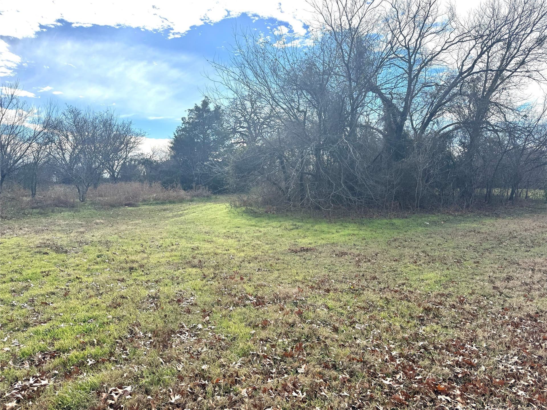 2.85 acres in Wise County - photo 6