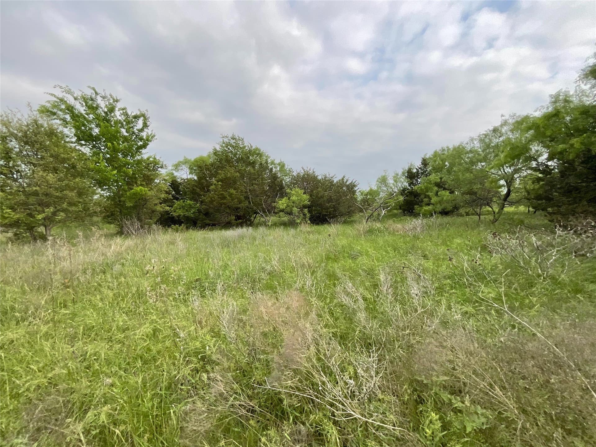 5 acres in Parker County - photo 11