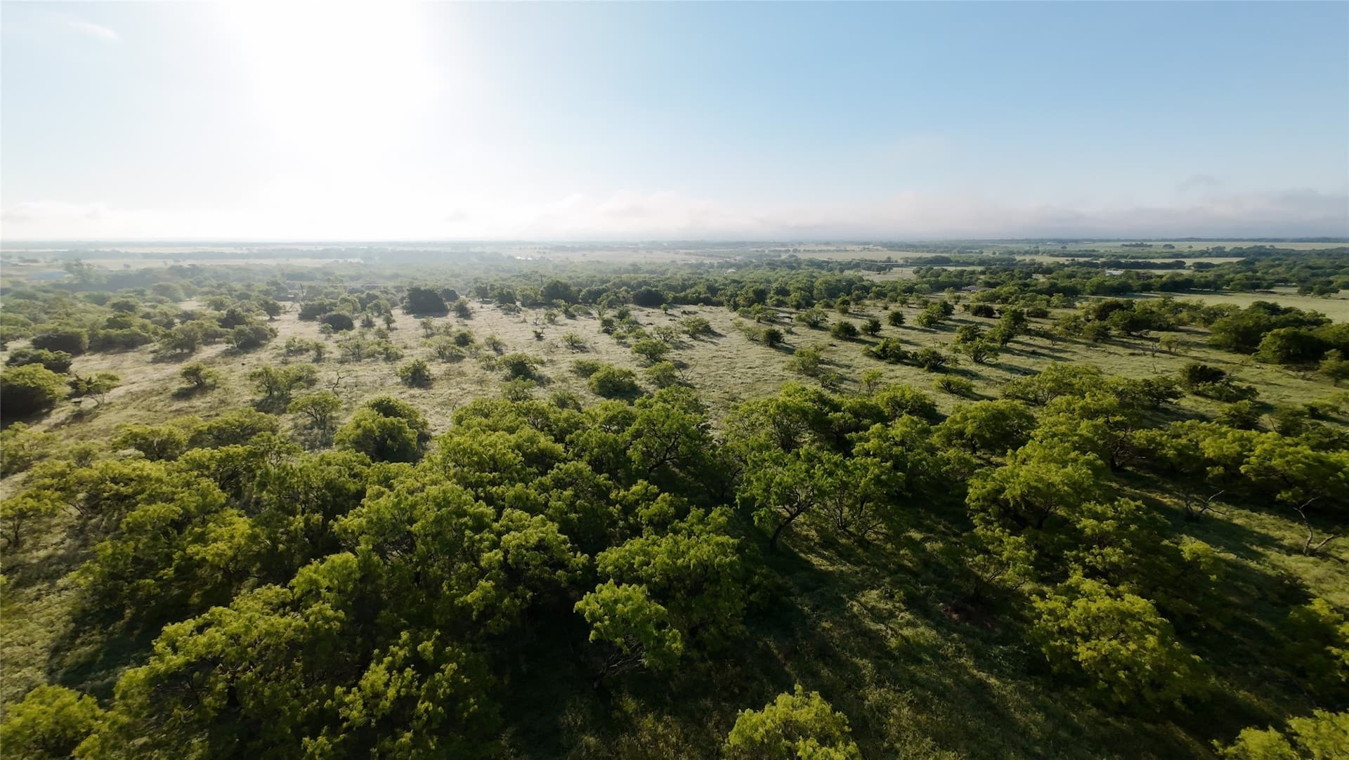 5 acres in Parker County - photo 8