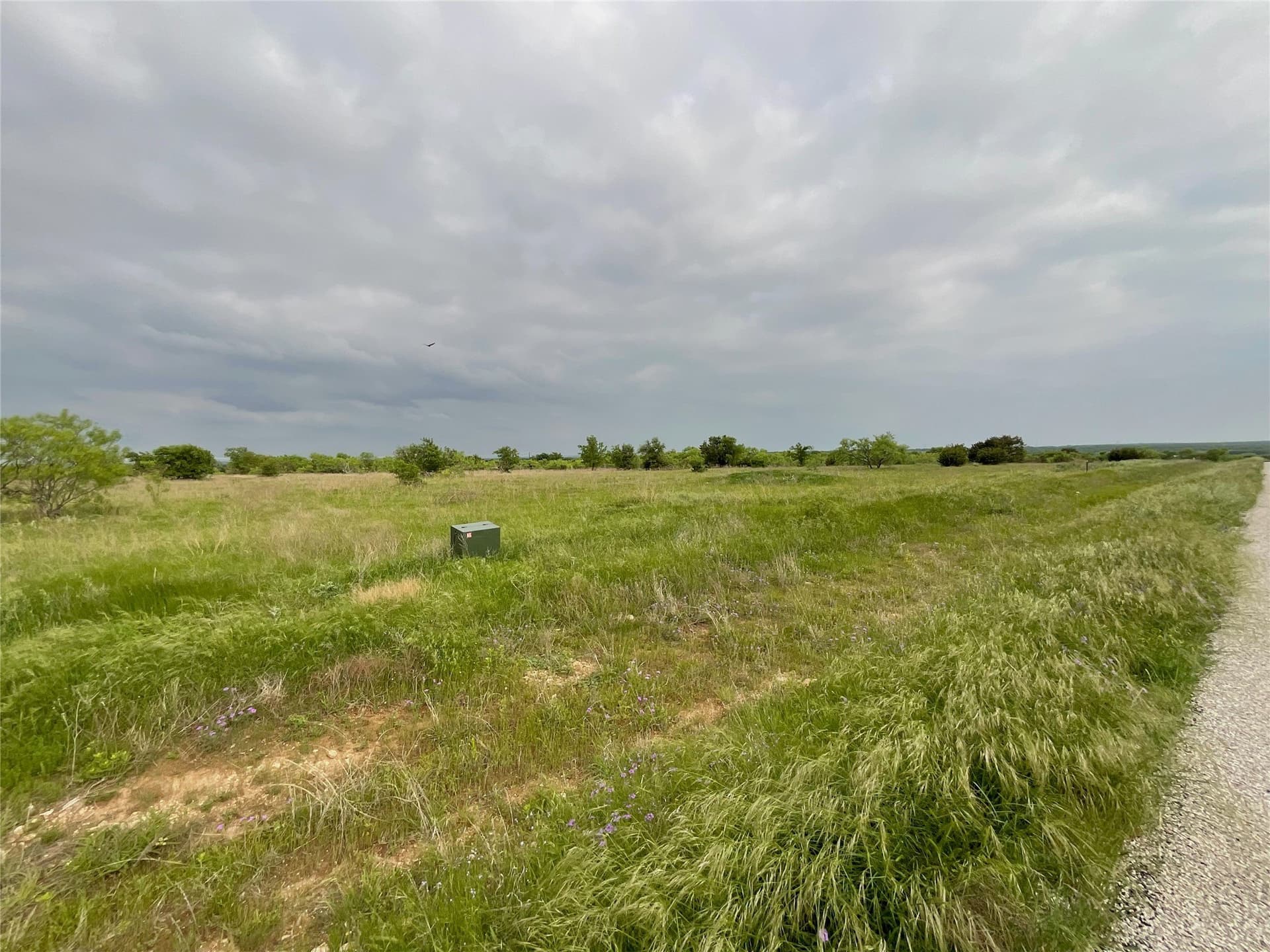 5 acres in Parker County gallery image 3