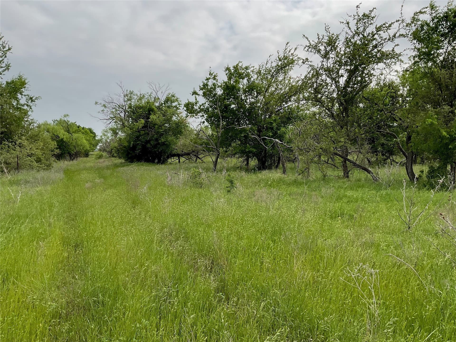 5 acres in Parker County - photo 13