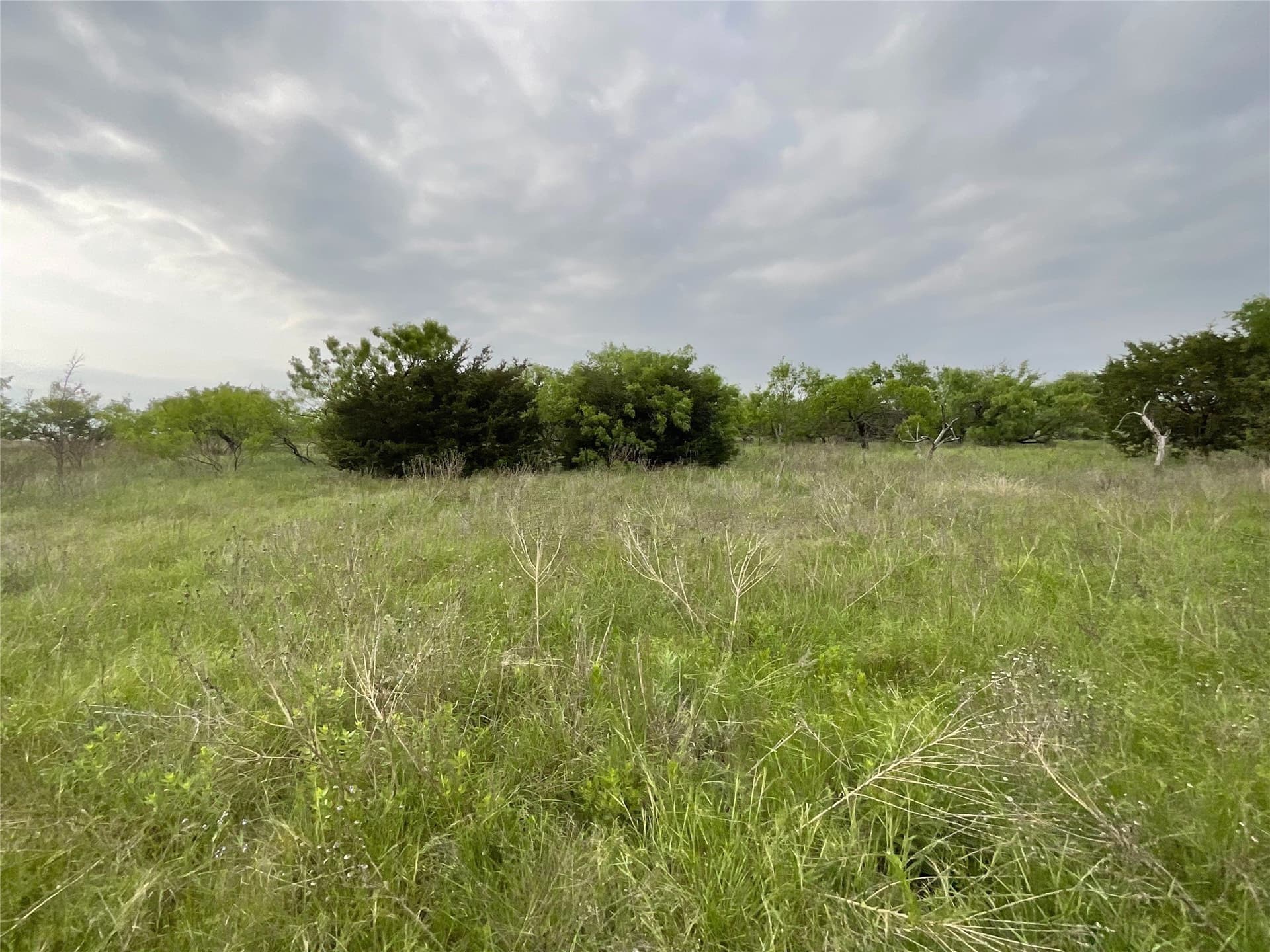 5 acres in Parker County - photo 16