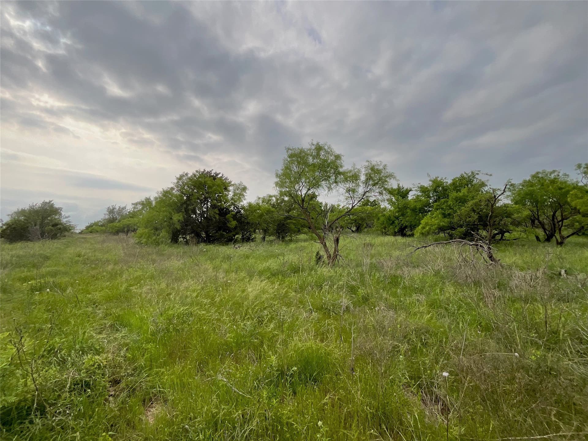 5 acres in Parker County - photo 15