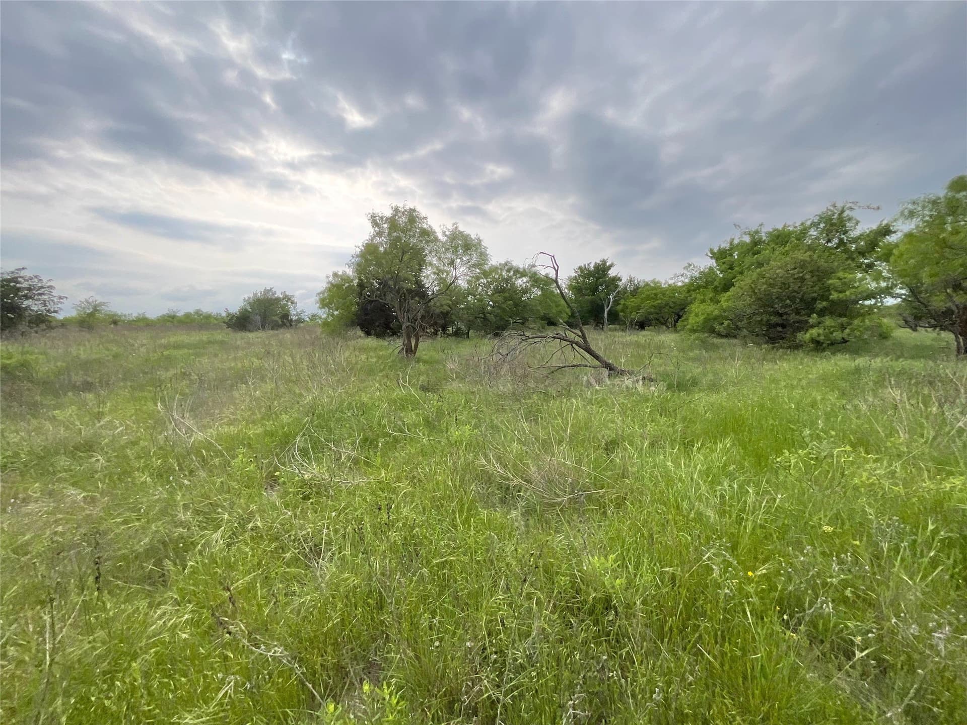 5 acres in Parker County - photo 14