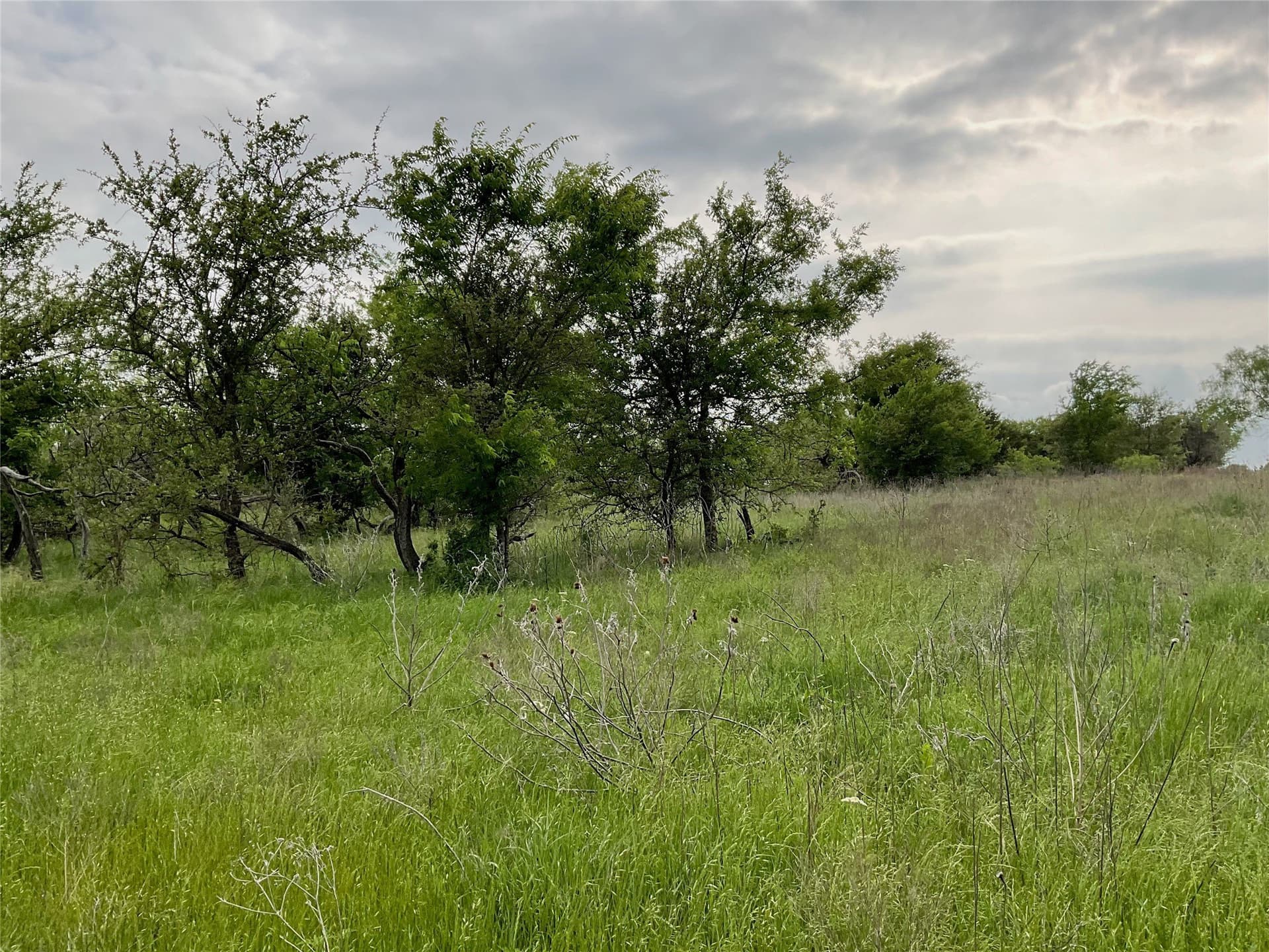 5 acres in Parker County - photo 12