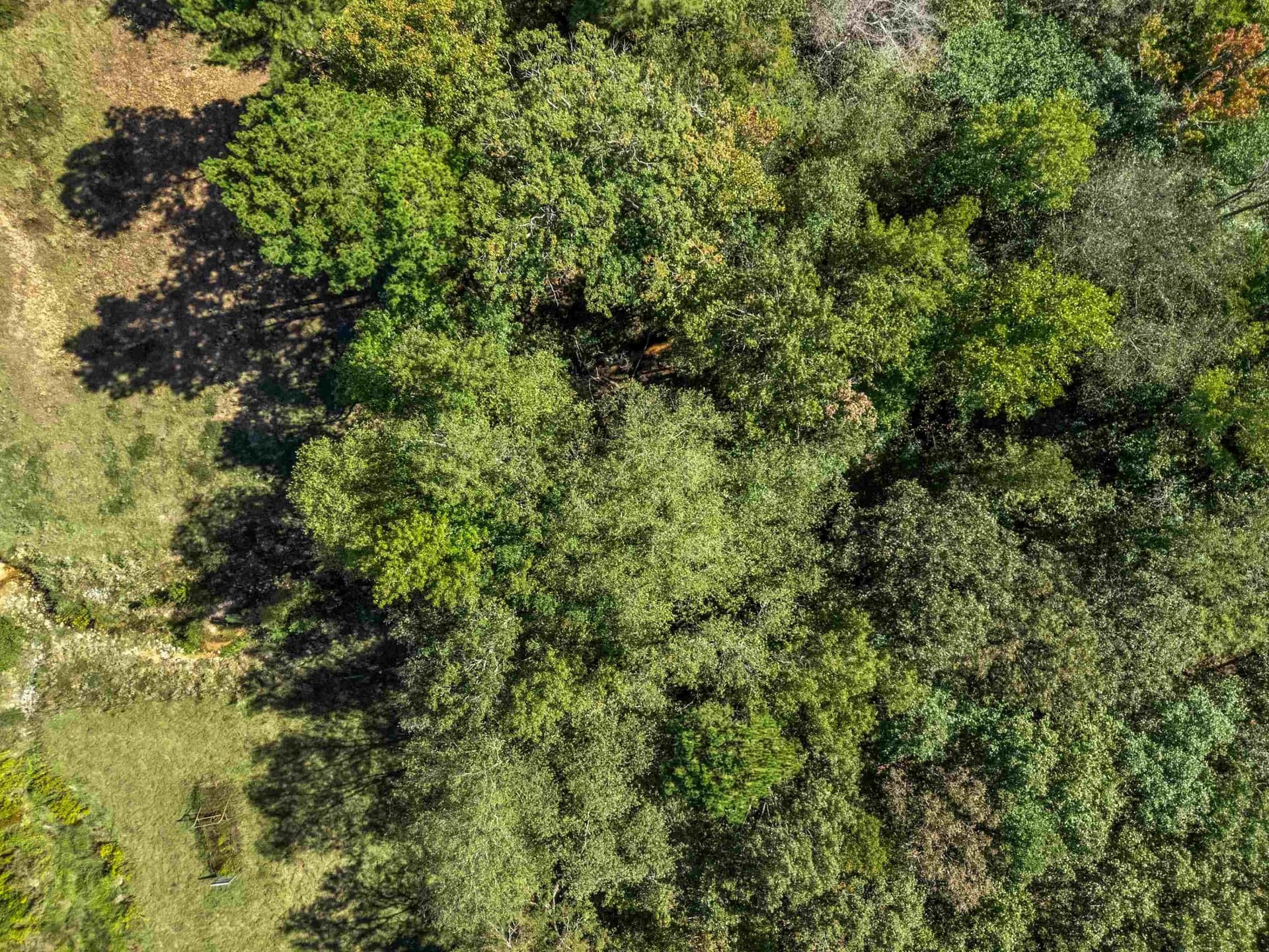 48.13 acres in Rusk County - photo 8