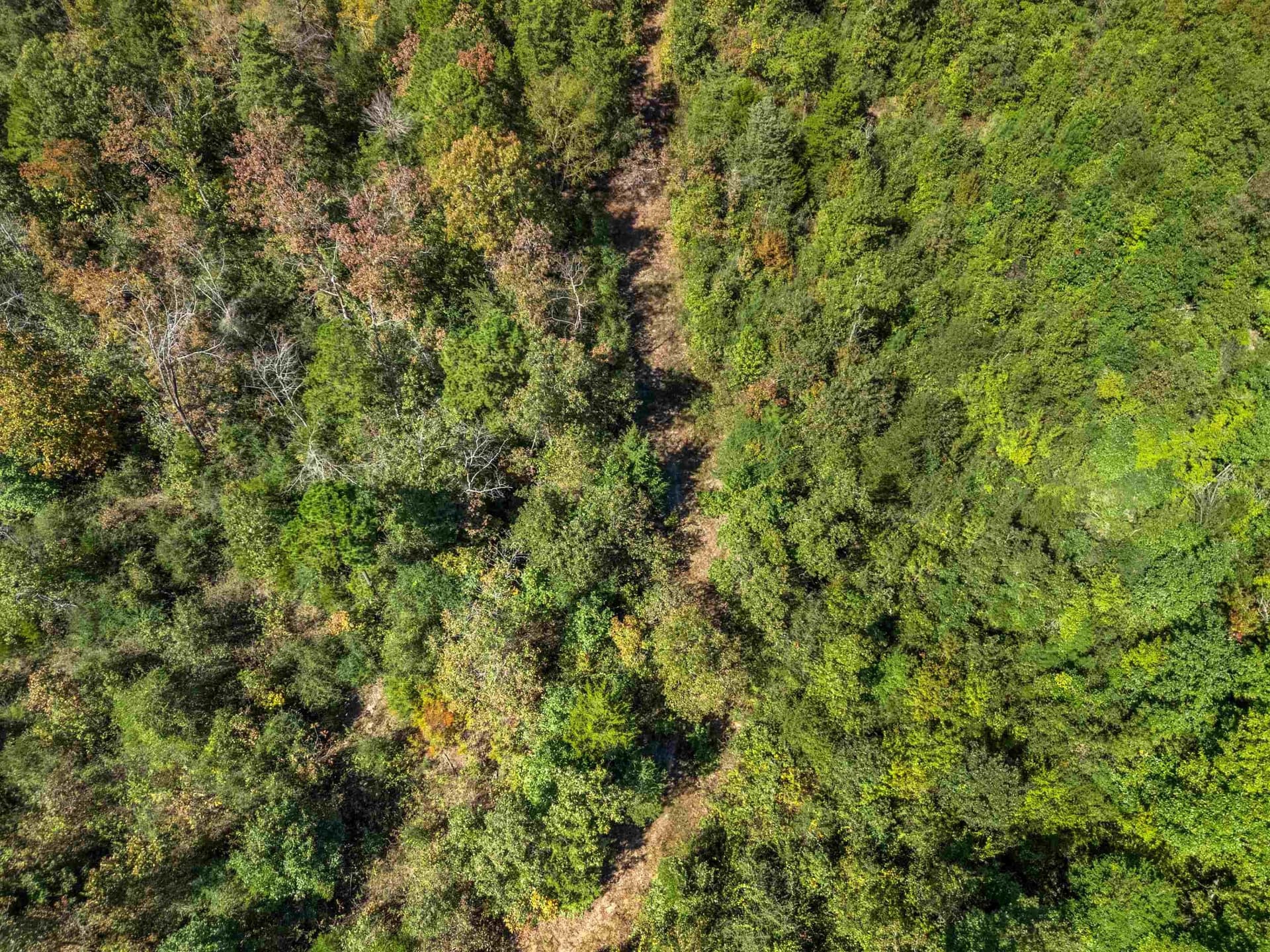 48.13 acres in Rusk County - photo 9