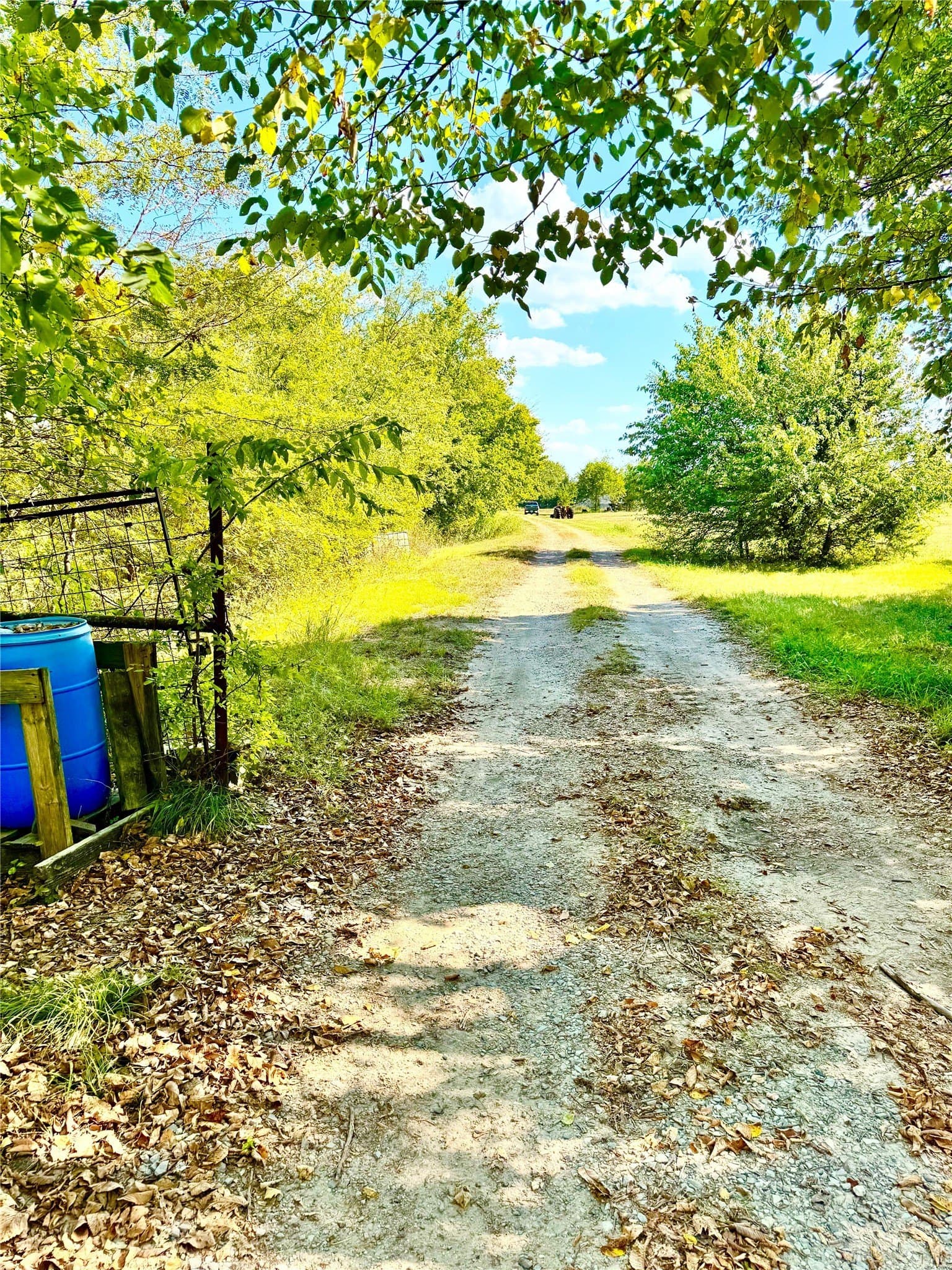 50 acres in Hunt County gallery image 4