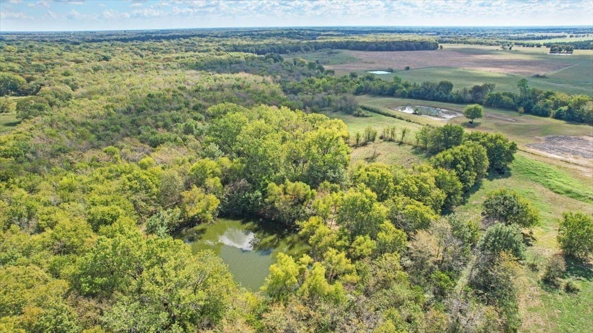 50 acres in Hunt County gallery image 3
