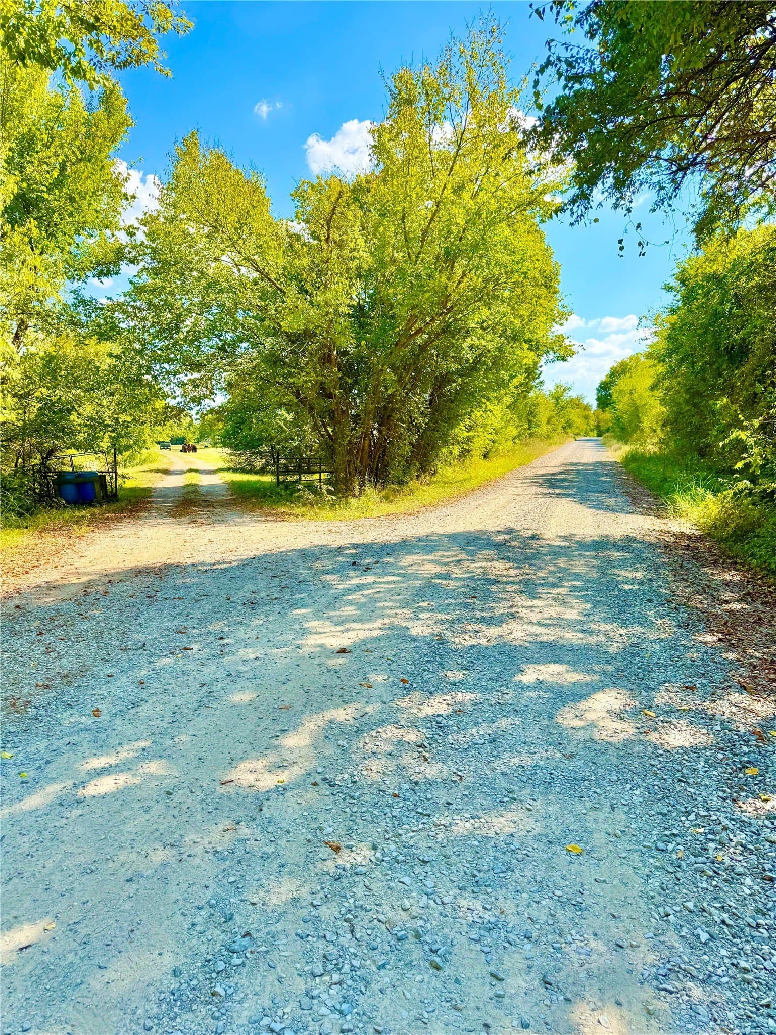 50 acres in Hunt County featured view